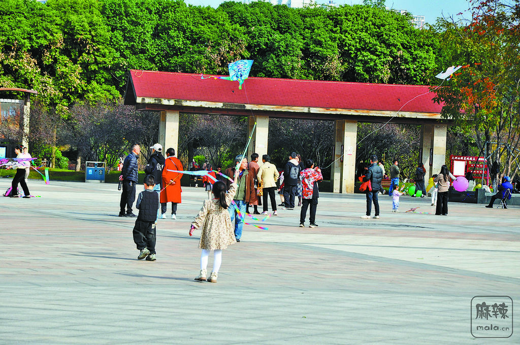 611b7a7a-670d-4d81-9dac-4e554fdba563.tif.2