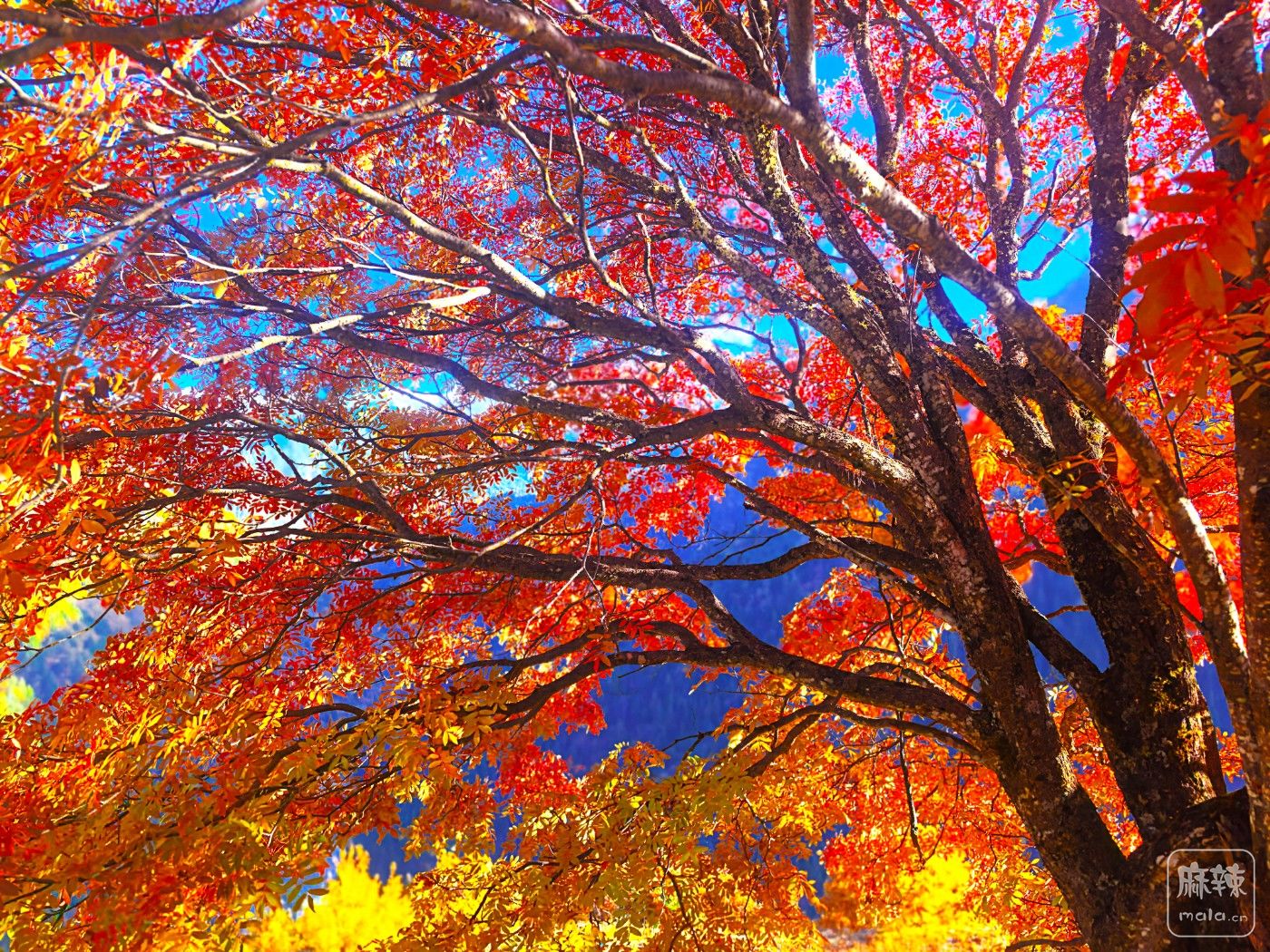 ΢ͼƬ_20251111091538_998_34 -  - .jpg