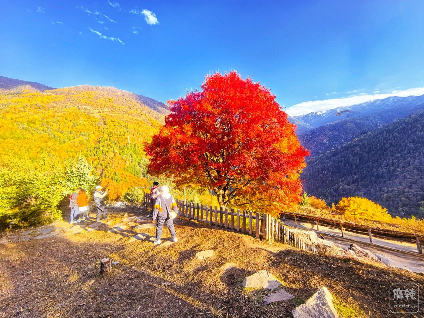 ΢ͼƬ_20251111091508_993_34 -  - .jpg