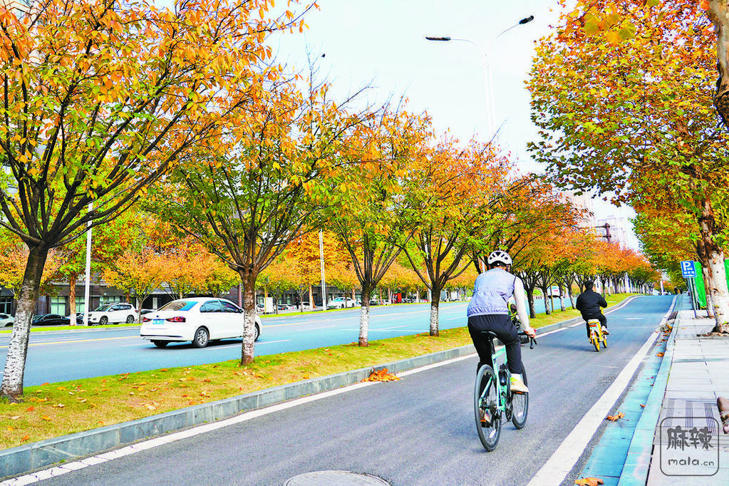 1bb6f0df-bbe9-4726-bda5-a95a84968adb.tif.2