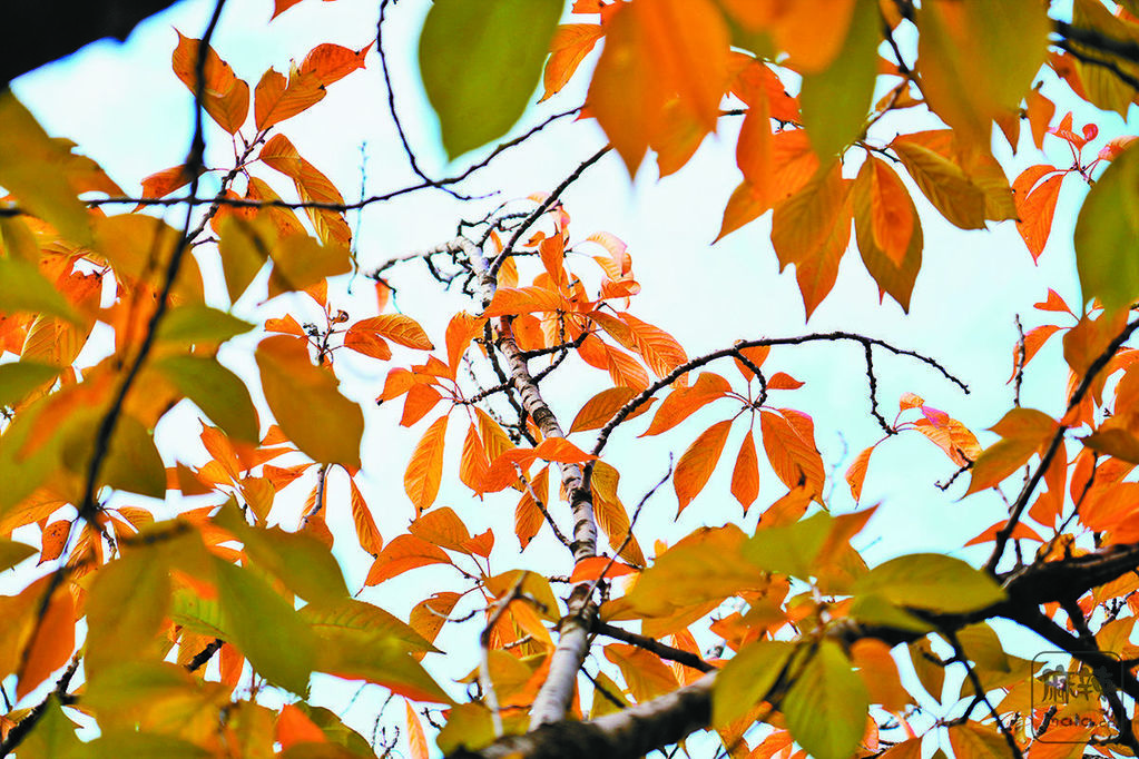 75d00e43-3abc-4a36-9e34-36754cb4746c.tif.2