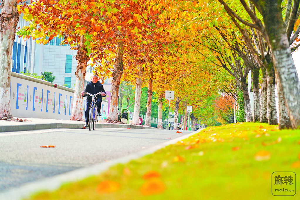 7462484e-9801-4cd2-9c3c-937a6deca167.tif.2