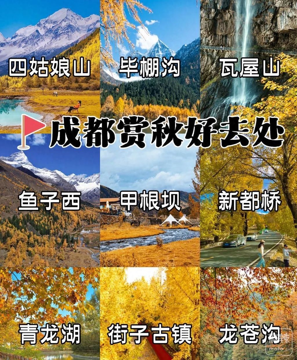 d31b0ef41bd5ad6e7871b00c21b289cbb4fd3cd2.jpeg@f_auto