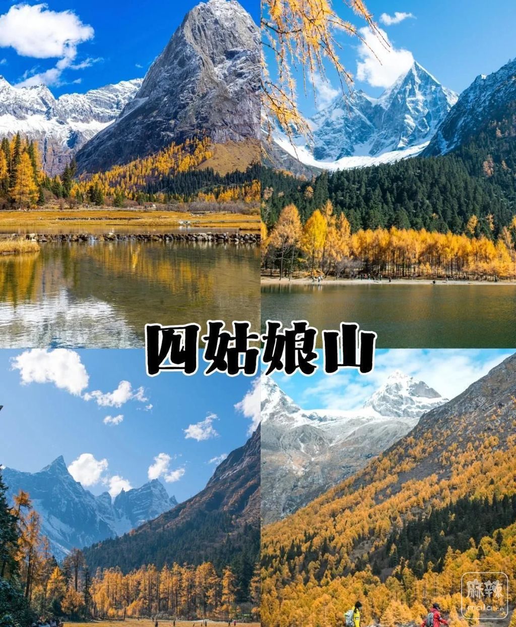 d1160924ab18972b21f2aece46b4cb999f510a70.jpeg@f_auto