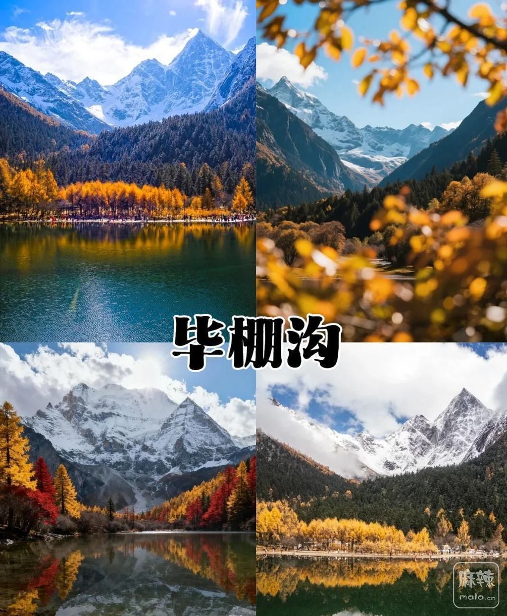 58ee3d6d55fbb2fb43908816ee3390b44723dc81.jpeg@f_auto