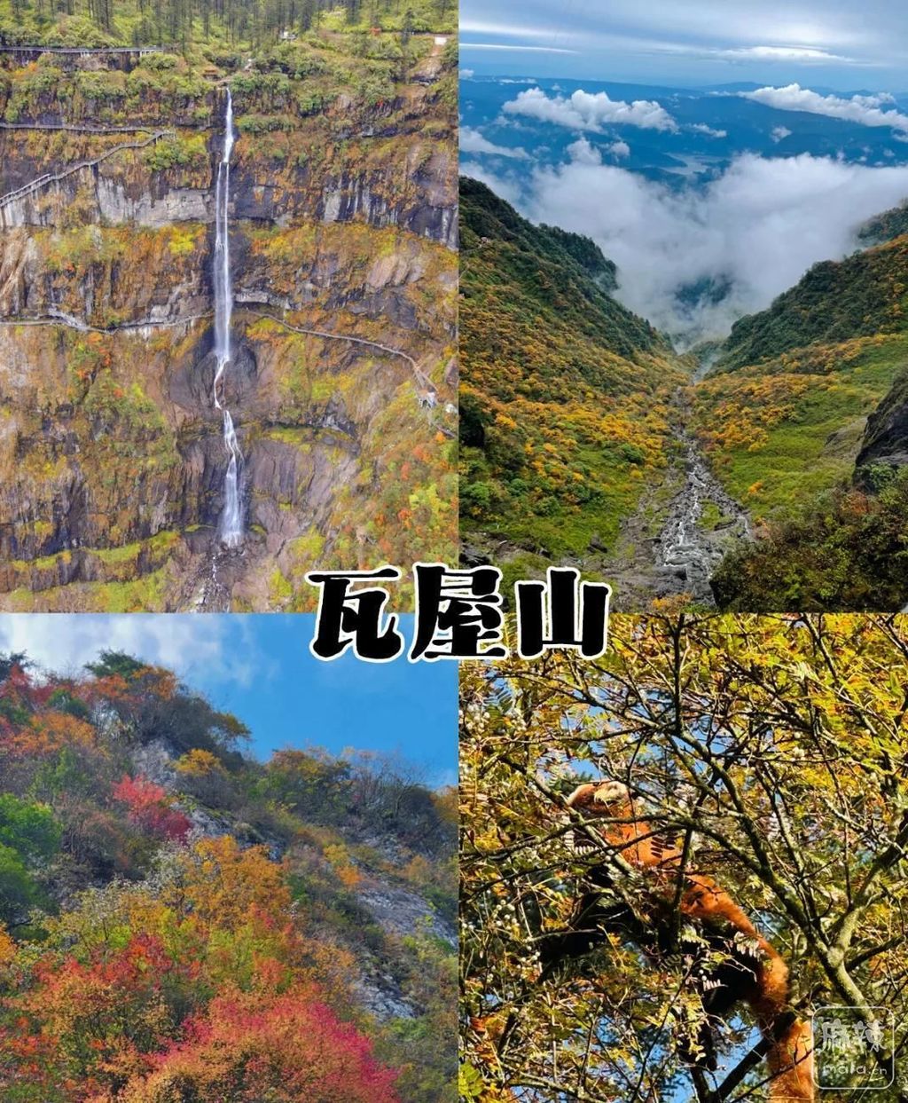 2934349b033b5bb5ce26ebdc97aa6529b700bcad.jpeg@f_auto