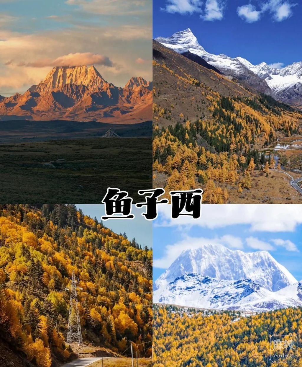 63d9f2d3572c11df80eb242bc25ed2c0f703c20e.jpeg@f_auto