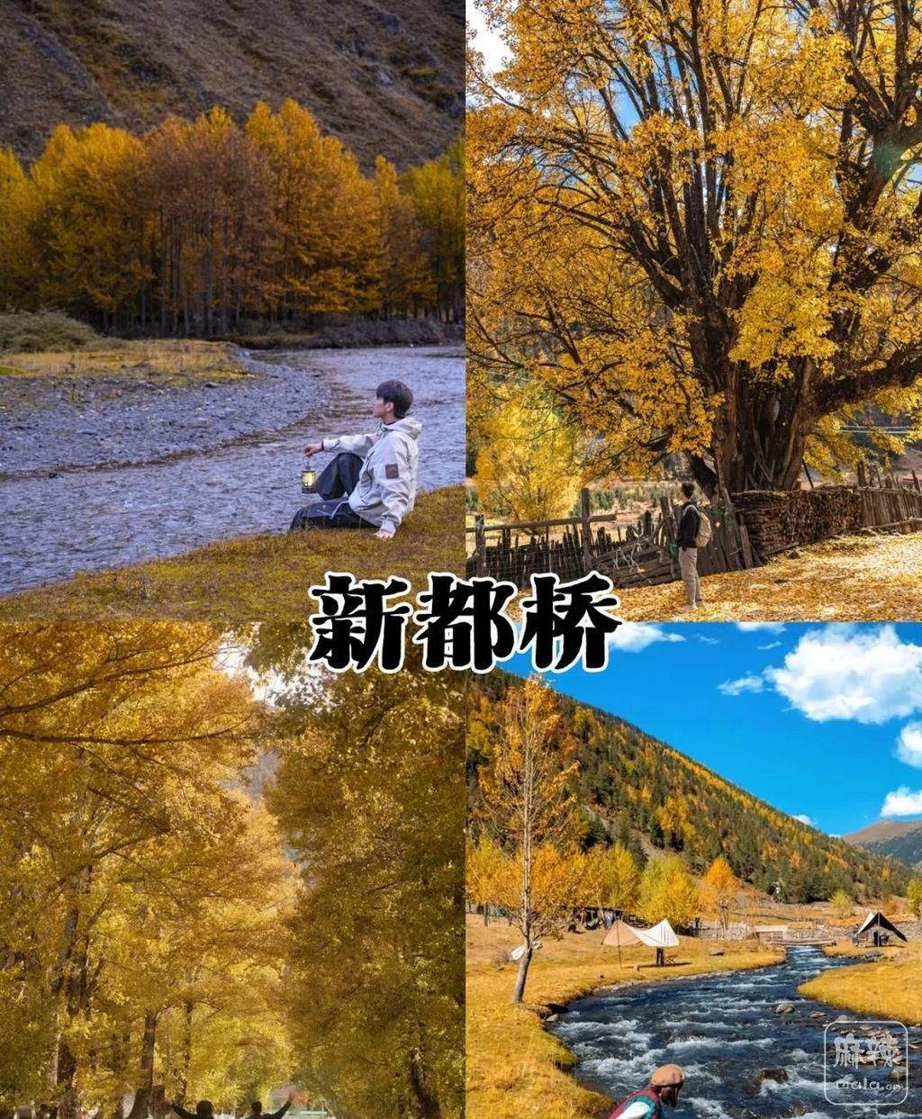 a044ad345982b2b786fec57291d47bff77099ba9.jpeg@f_auto