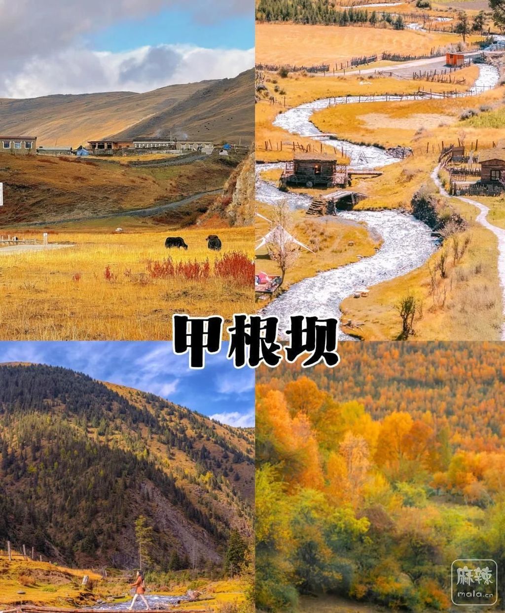 472309f790529822cdc9232477b3cbdb0846d4ed.jpeg@f_auto