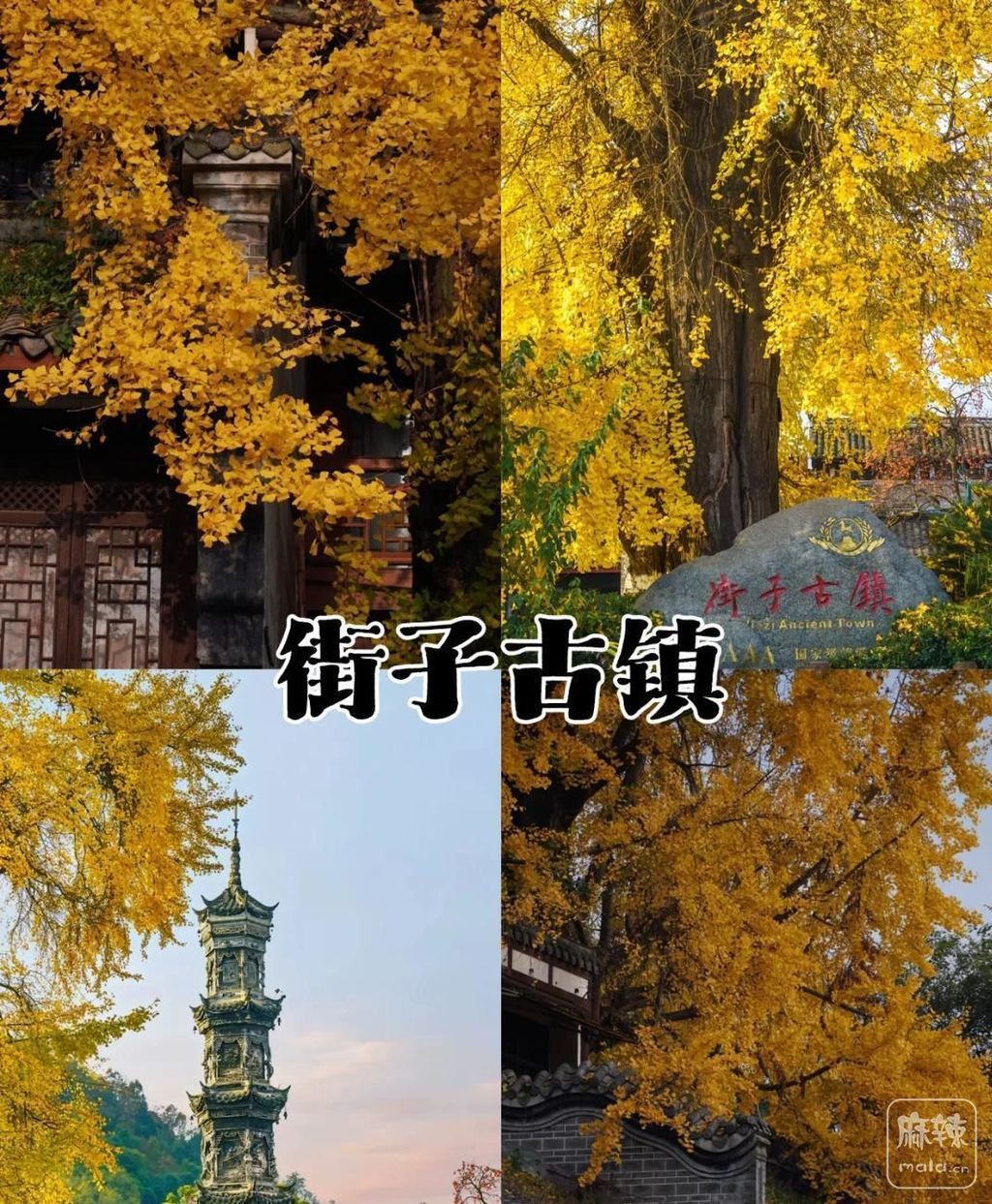 1c950a7b02087bf4d35f988a52aae73c10dfcfa9.jpeg@f_auto