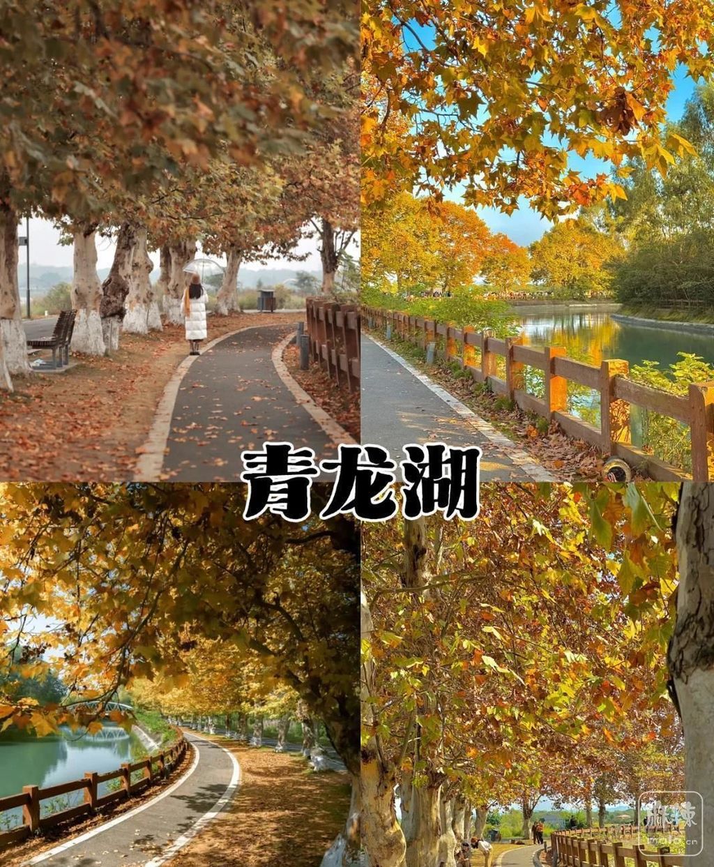 b7fd5266d01609244b6d3949747e85eae7cd34a6.jpeg@f_auto