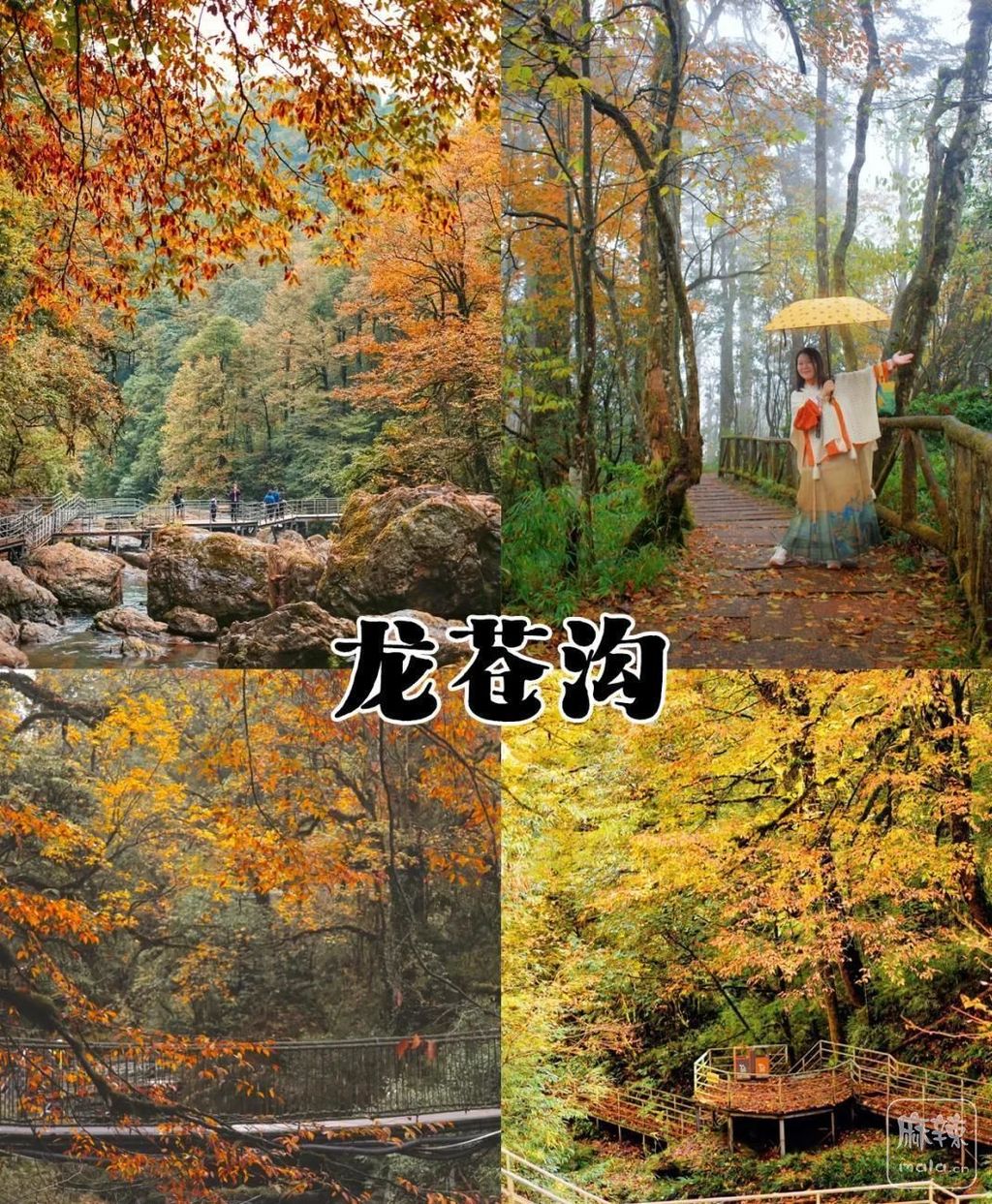 d31b0ef41bd5ad6e2805c0e221b289cbb7fd3c40.jpeg@f_auto