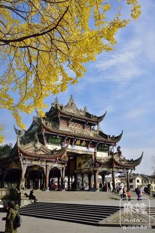 42a98226cffc1e17ac578cea542e7e13718de94b.jpeg@f_auto