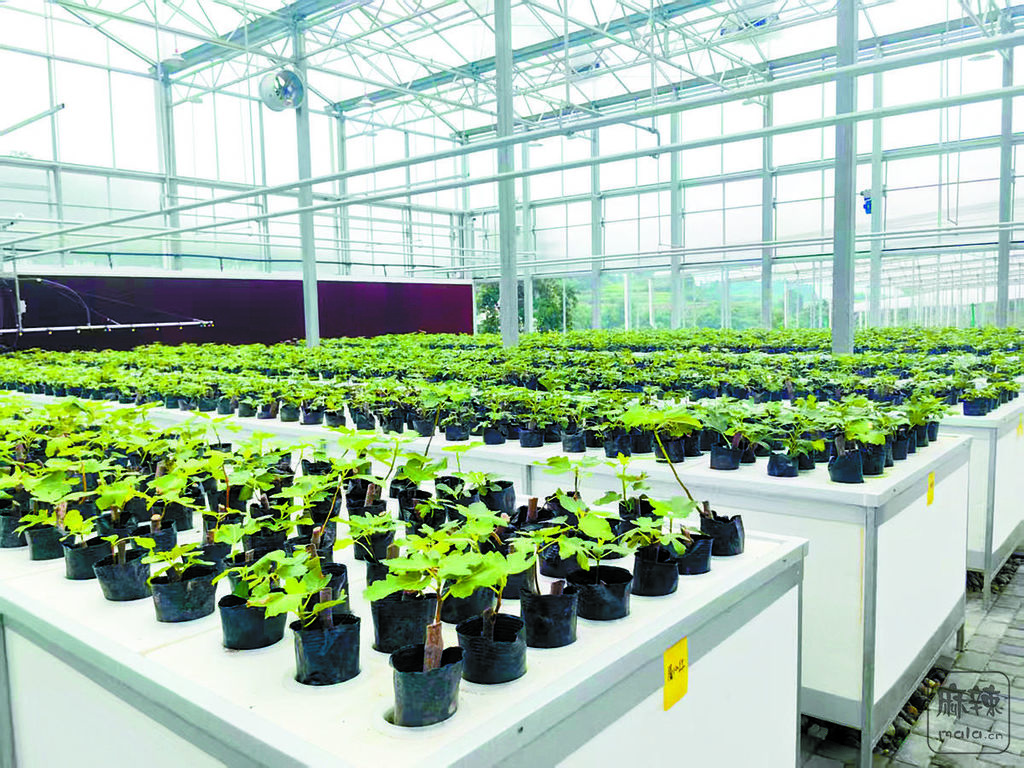 ae1af970-fdbb-4aea-befa-1fe1ea57d7ac.tif.2