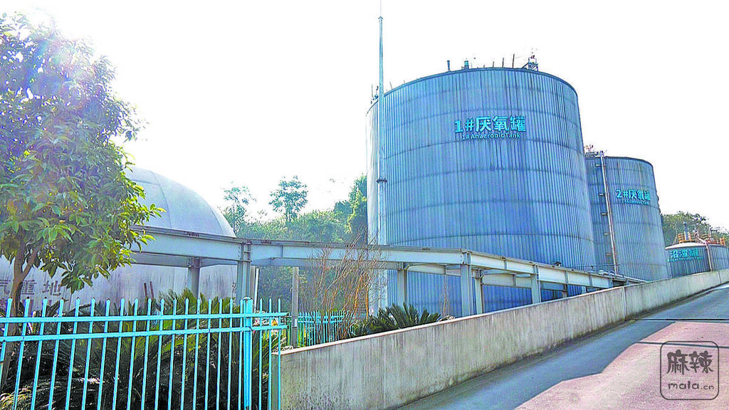 e3ff3dba-ad76-4961-bb7b-c6d846dc73dc.tif.2