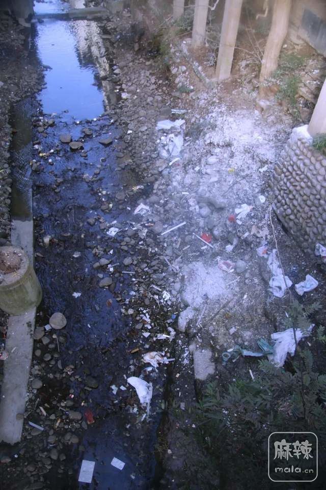 21f4f4666d4e4f0aba042c6161420517~tplv-tt-shrink:640:0.image