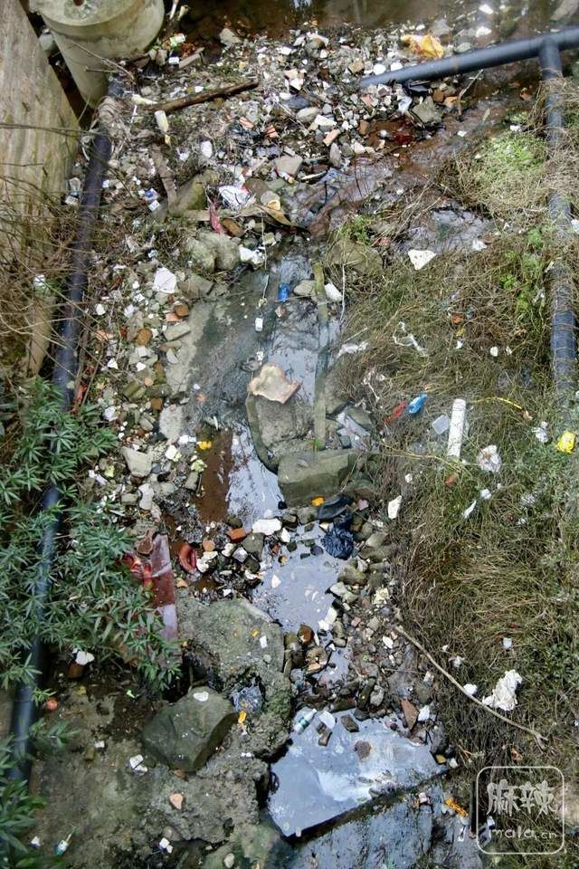 1d20368e37184d01ba44c62445bd392f~tplv-tt-shrink:640:0.image