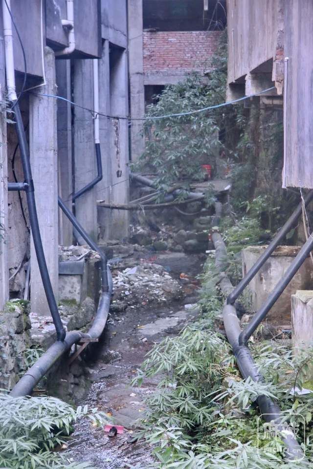 4b0b25a8ccf44c87b538bab5bbdabec3~tplv-tt-shrink:640:0.image