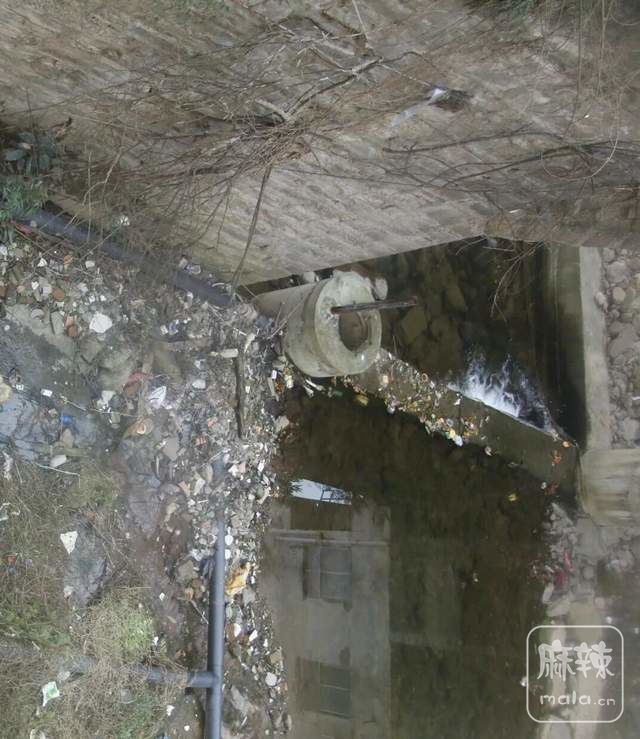 acaf3d85352c4687b0bbf78e47d72c01~tplv-tt-shrink:640:0.image