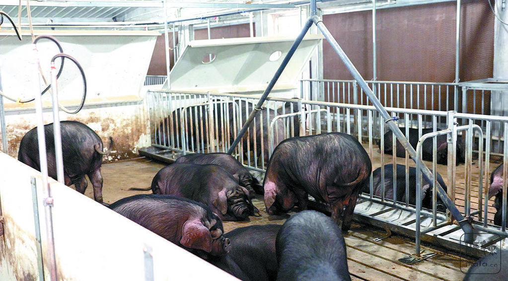 1d38739d-48be-4b6e-a503-3d4f42a6adc1.tif.2