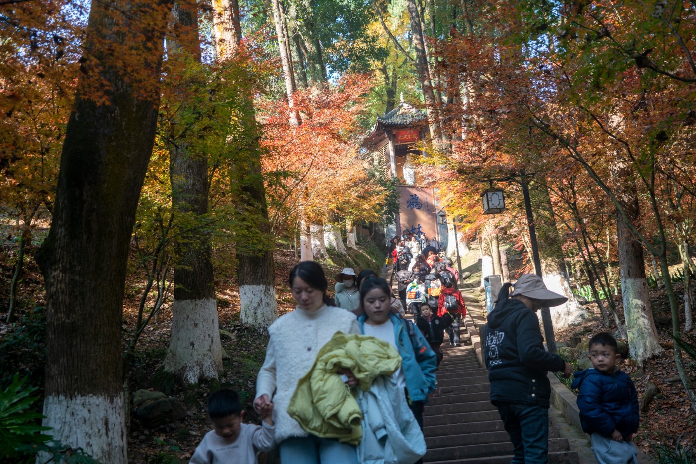 DSC08040 ����.jpg