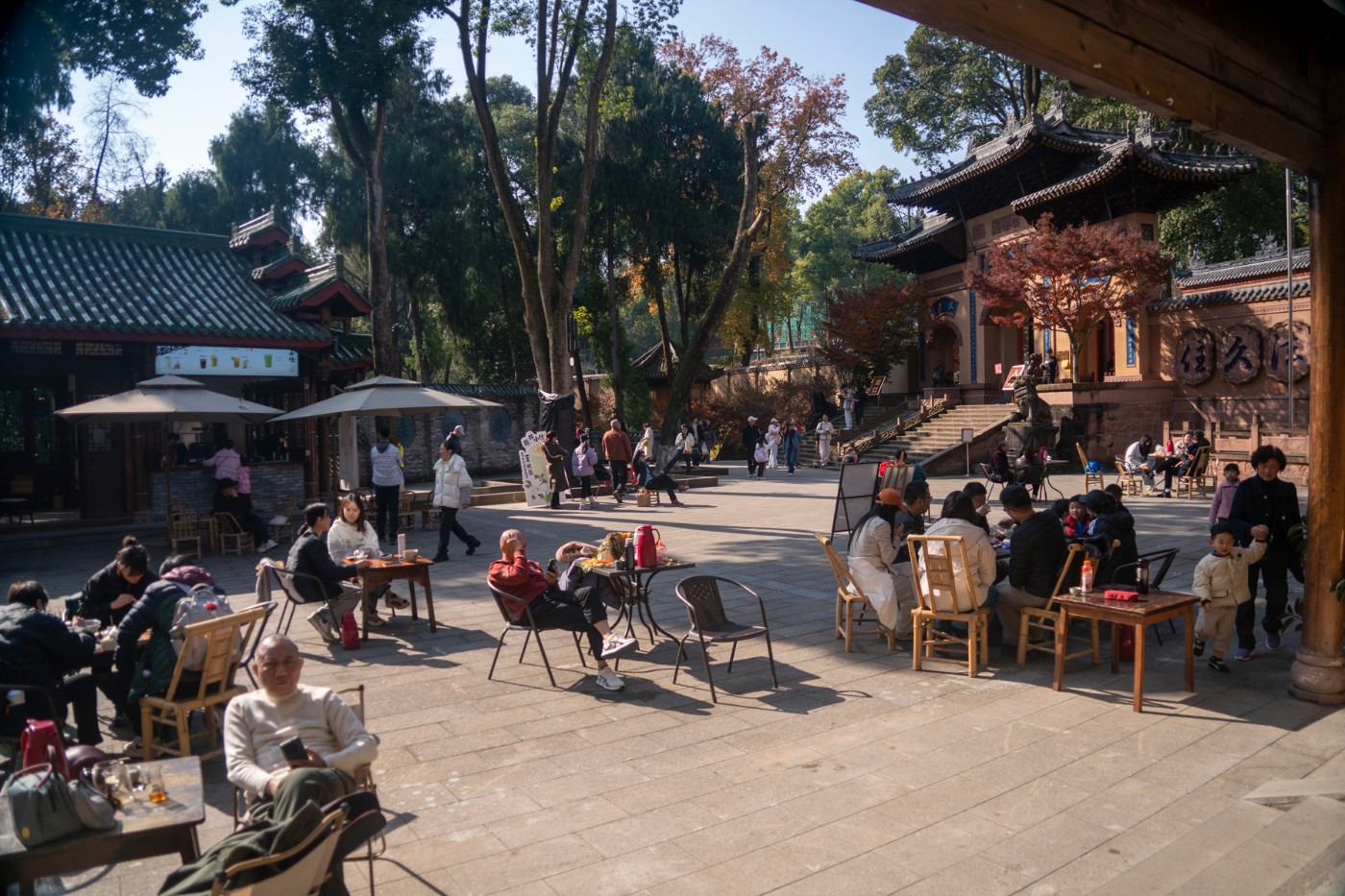 DSC08061 ����.jpg