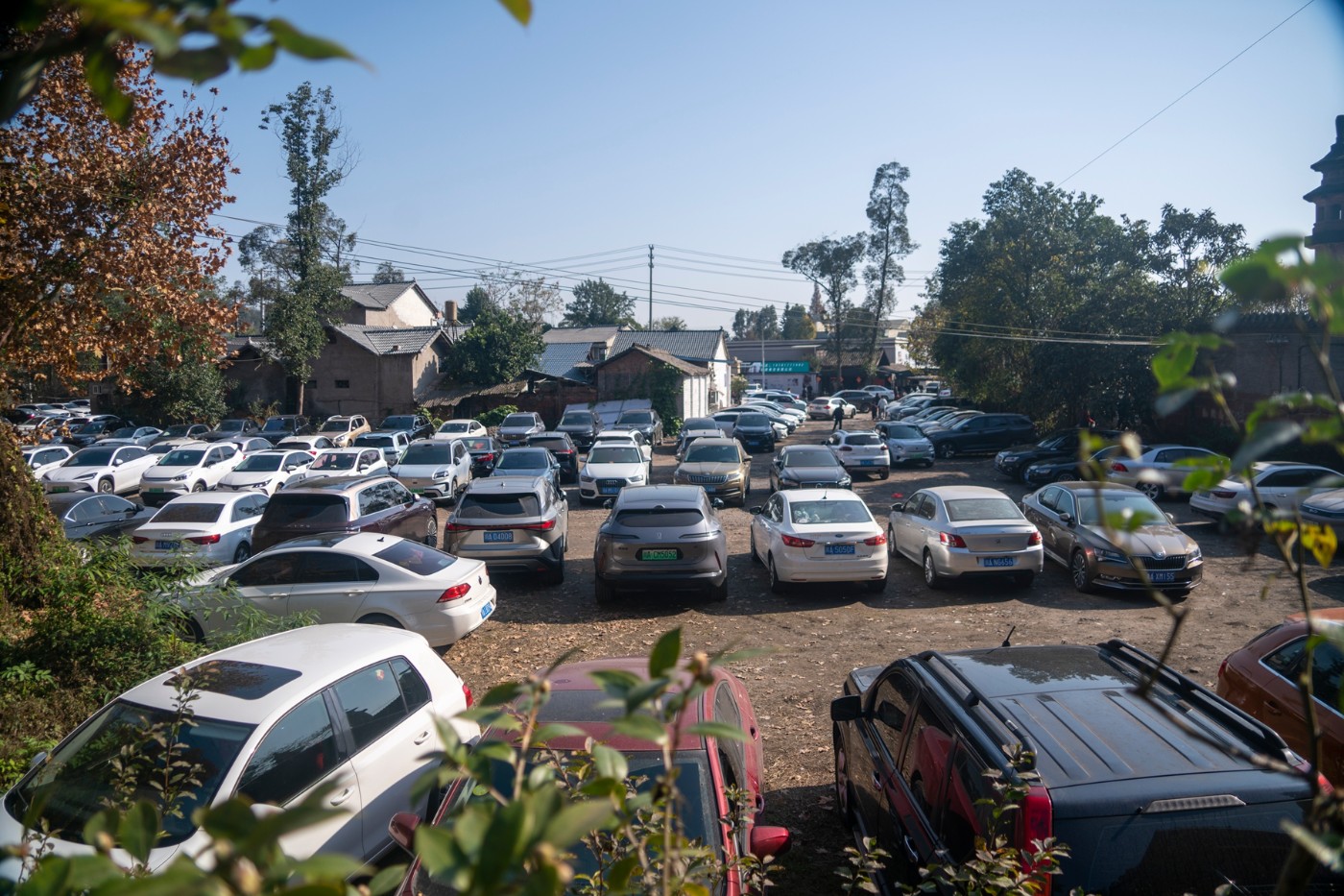 DSC08019 ����.jpg