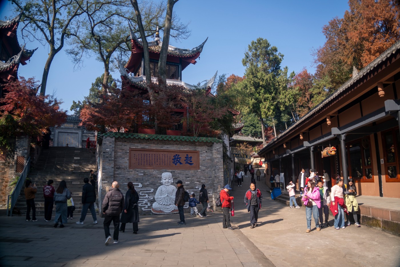 DSC08066 ����.jpg