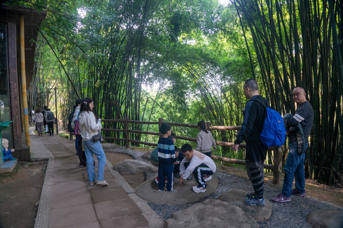 DSC08097 ����.jpg