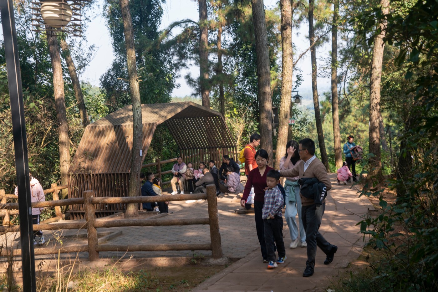 DSC08098 ����.jpg