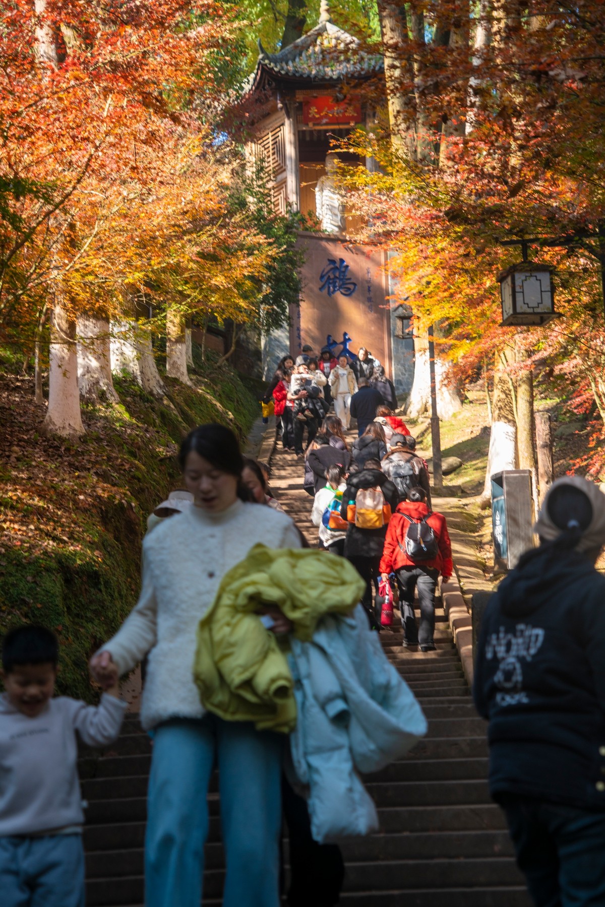 DSC08039 ����.jpg