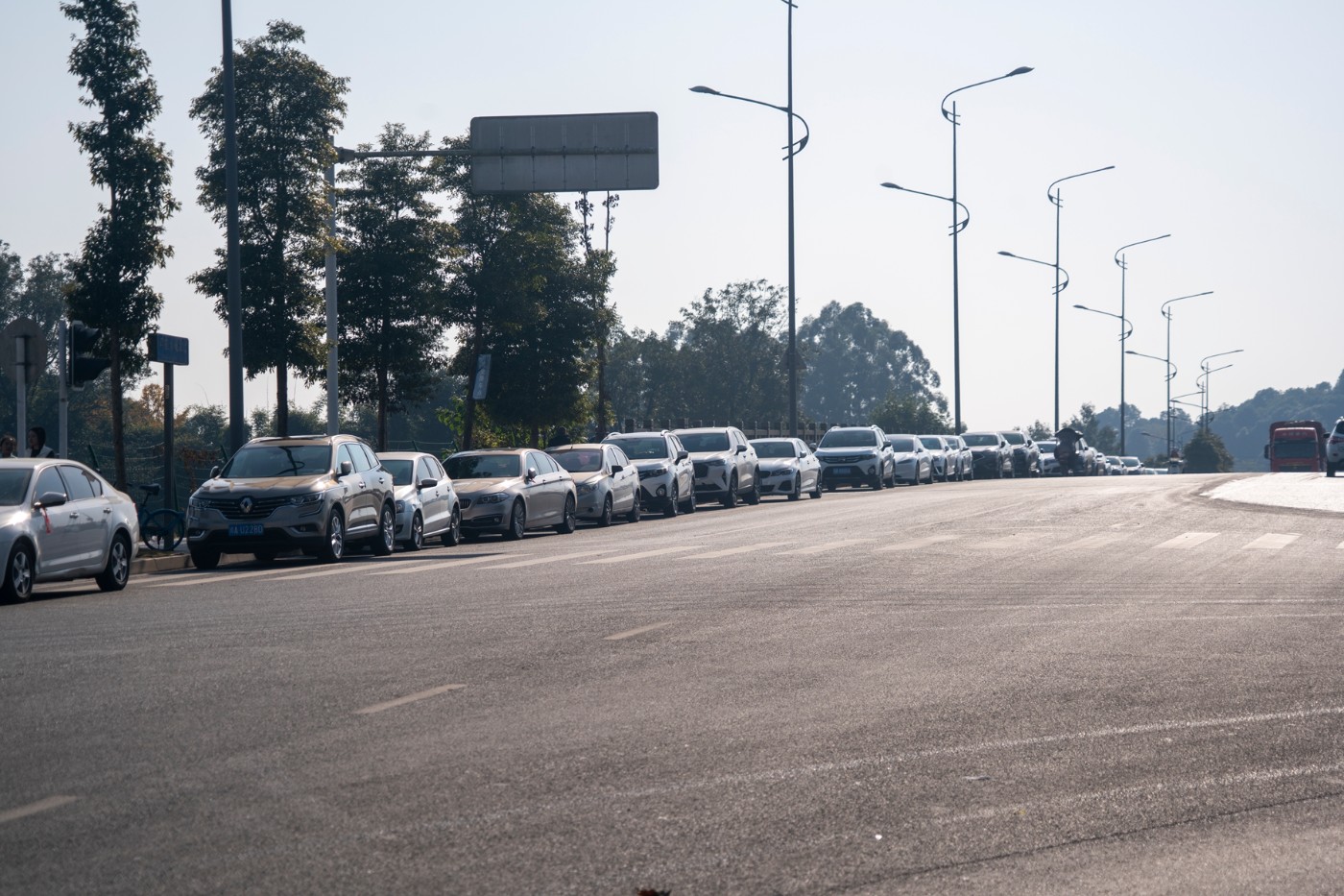 DSC08007 ����.jpg