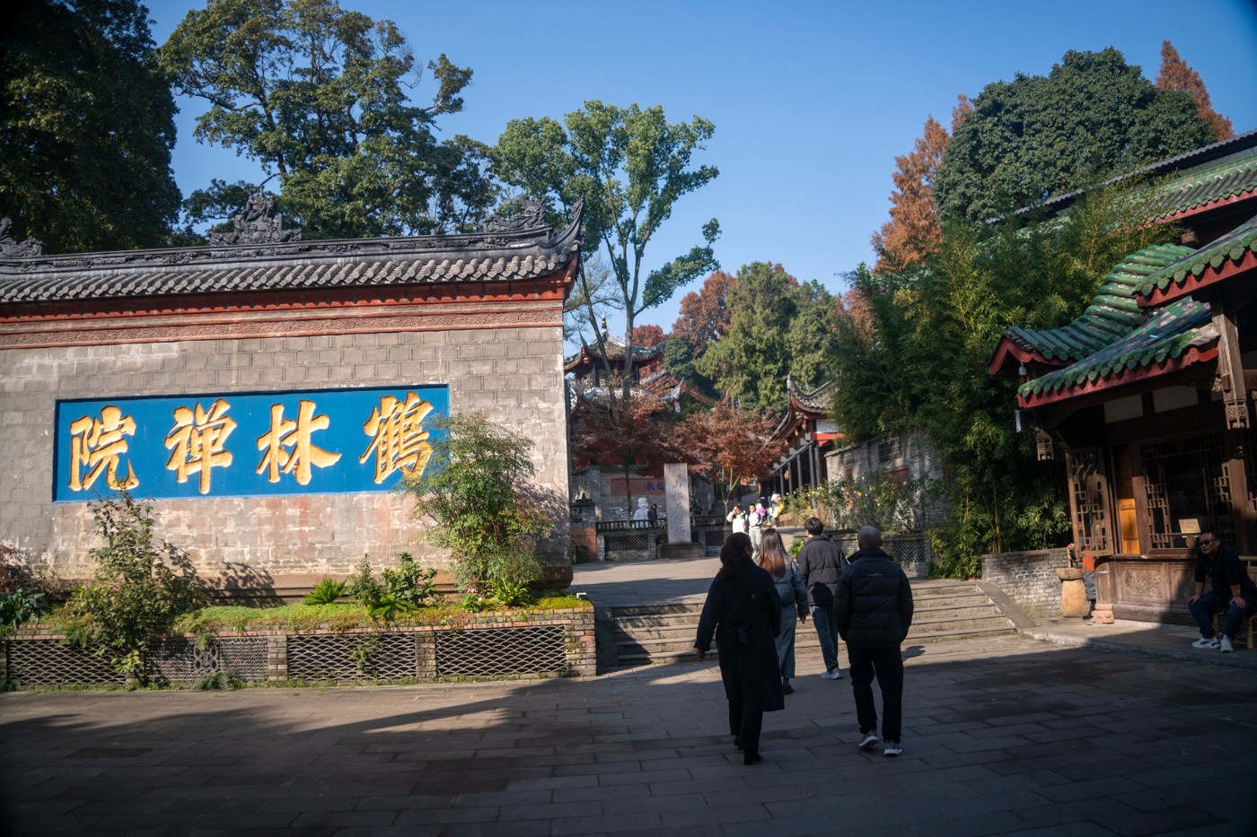 DSC08062 ����.jpg