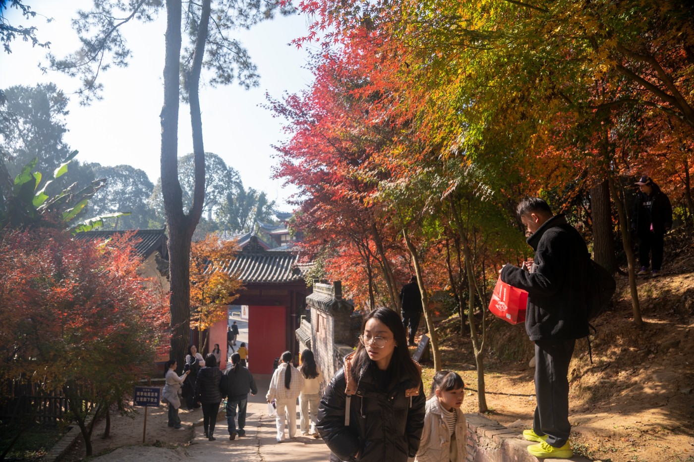 DSC08076 ����.jpg