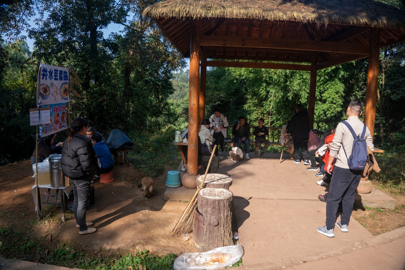 DSC08095 ����.jpg