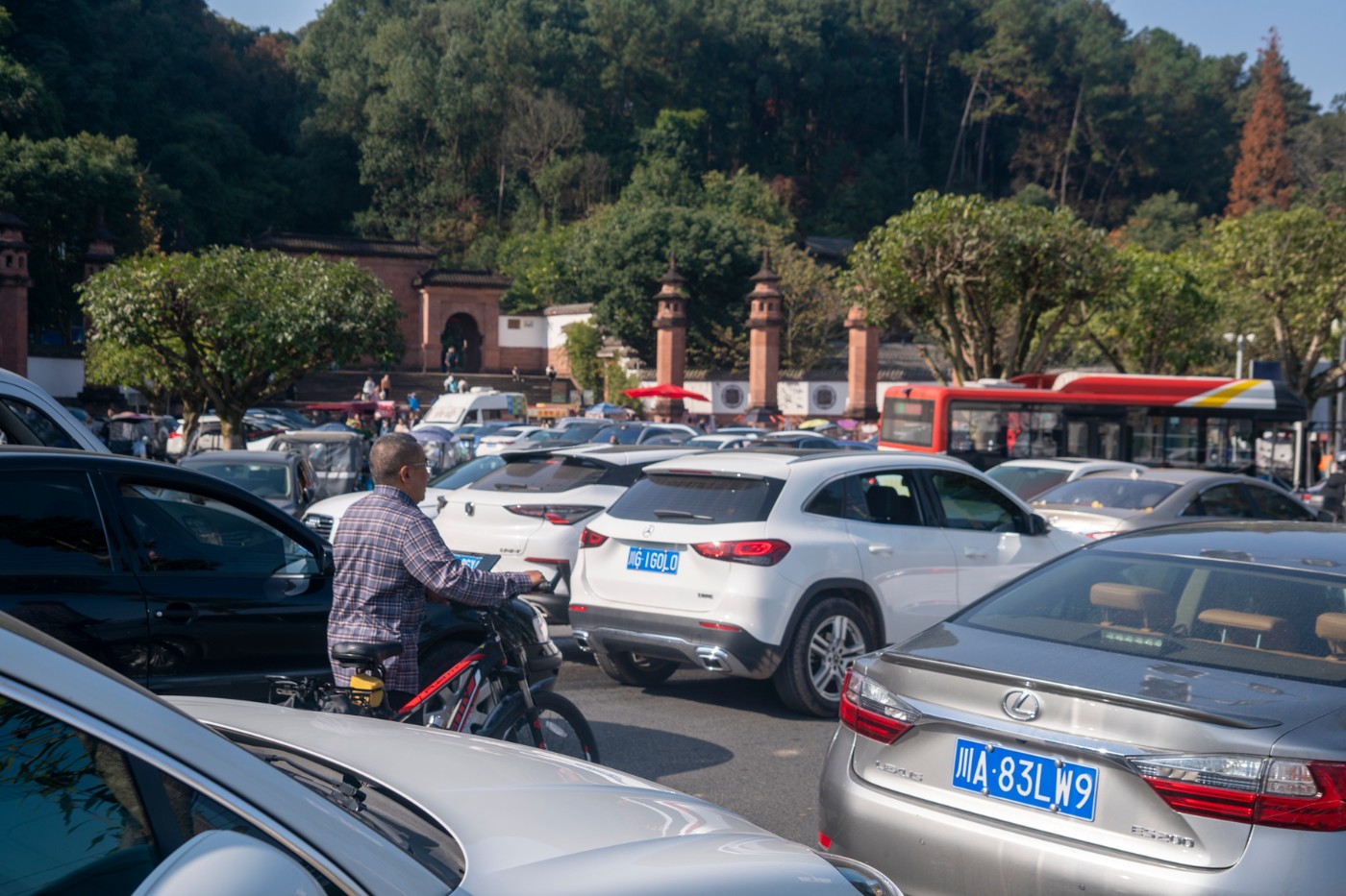 DSC08119 ����.jpg