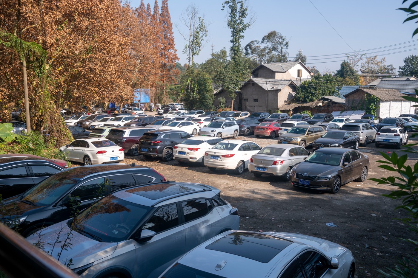 DSC08104 ����.jpg