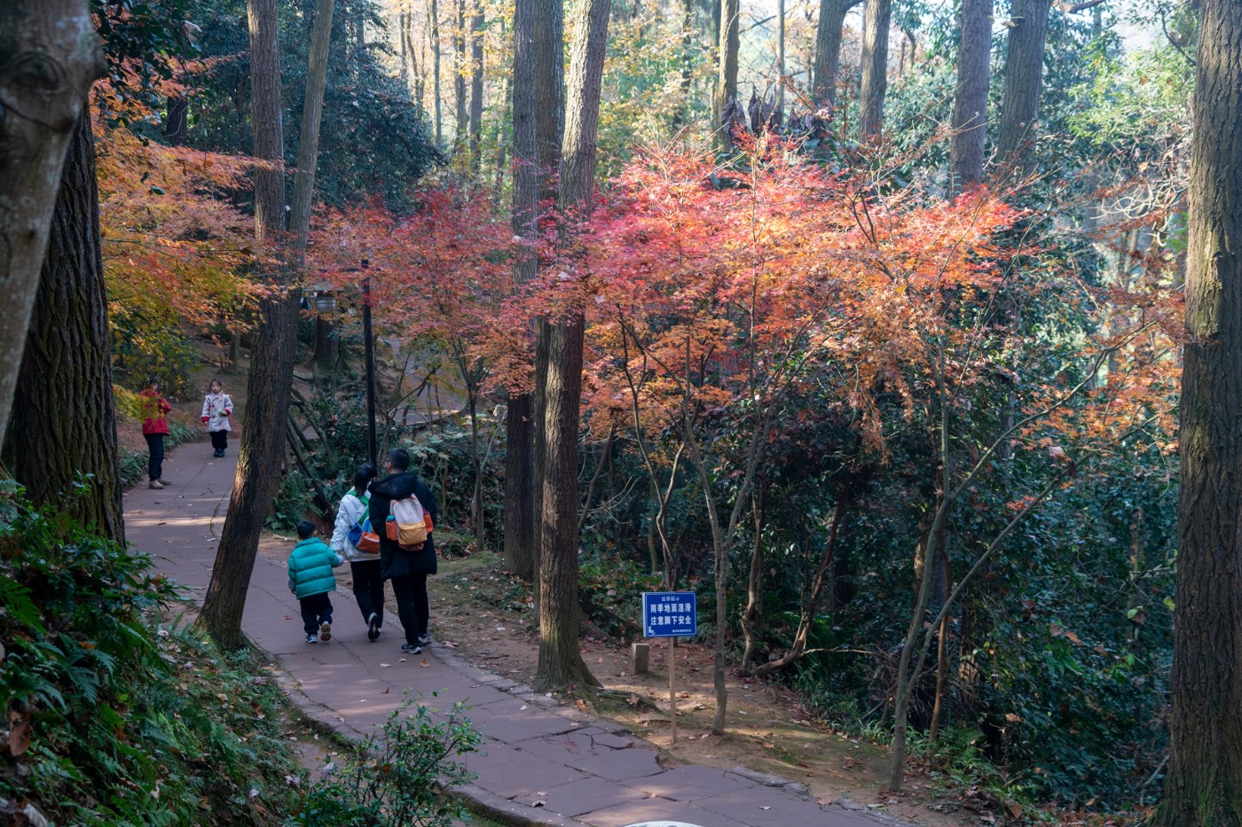 DSC08080 ����.jpg