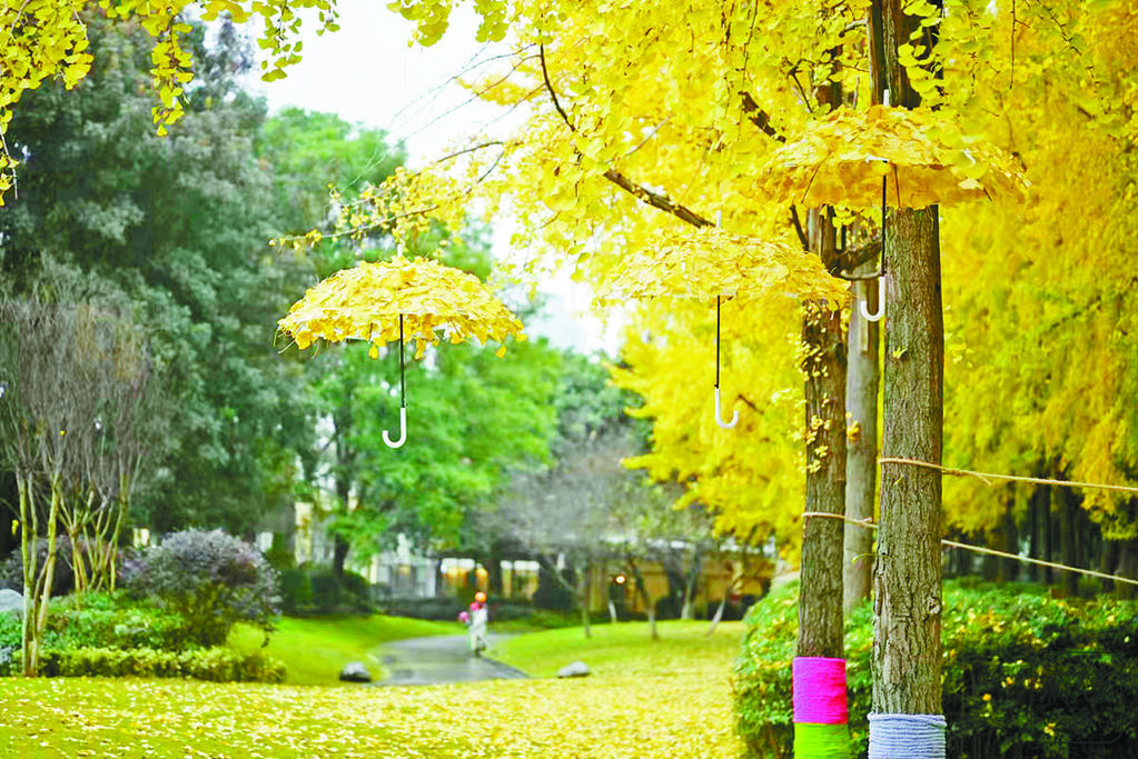 46d62354-8e15-4cc0-a27e-bc3993c0e6b7.tif.2