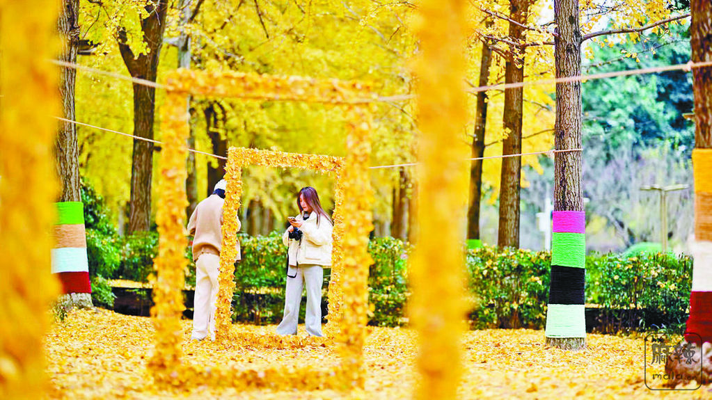 3c02609a-d11b-46a9-bf28-b0f6aee63962.tif.2