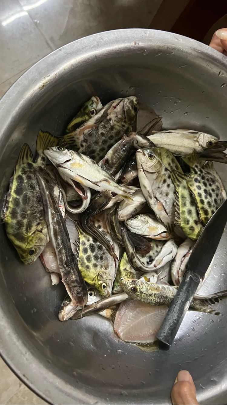 ϰĸӴ̵ĺ㣬Ȼûʵʩǵҽ