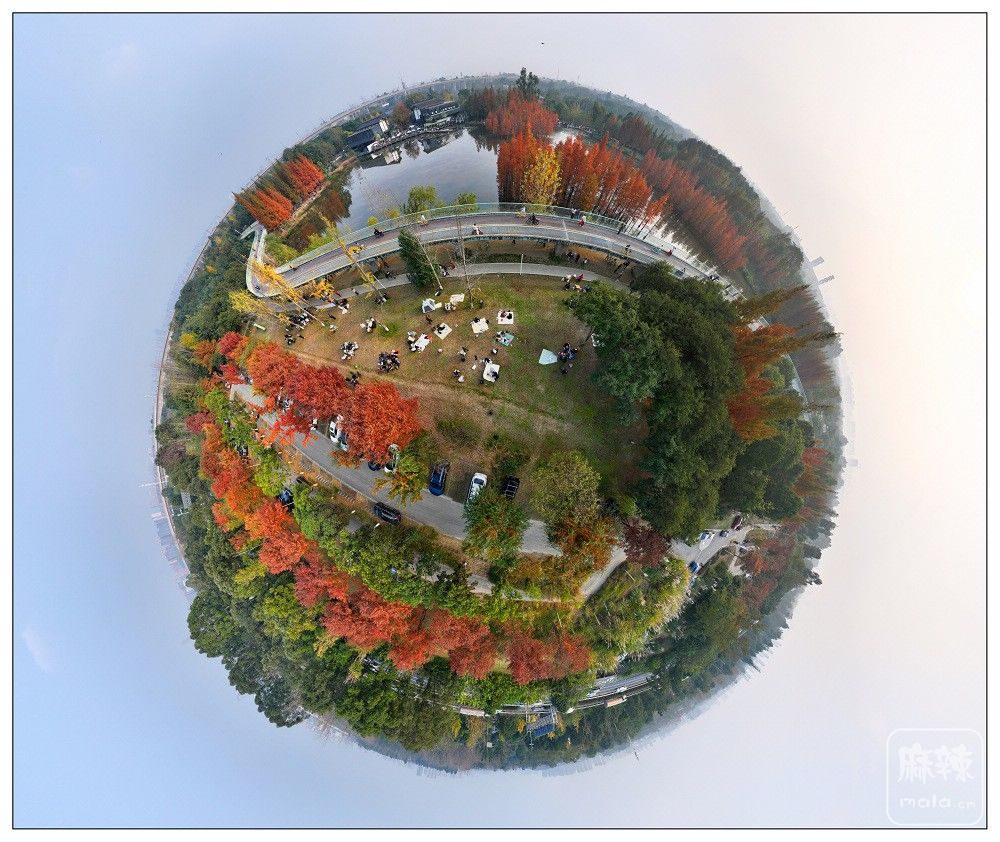 dji_export_20251129_165213_1764406333686_sphere_screenshot.jpg