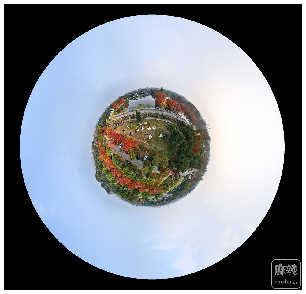 dji_export_20251129_165700_1764406620843_sphere_screenshot.jpg