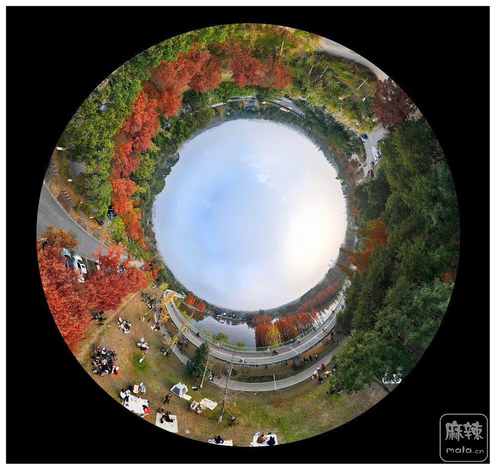 dji_export_20251129_165631_1764406591111_sphere_screenshot.jpg