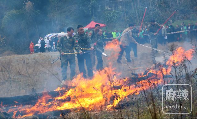 2769484251af4c02a58b37942f8b12a3~tplv-tt-shrink:640:0.image