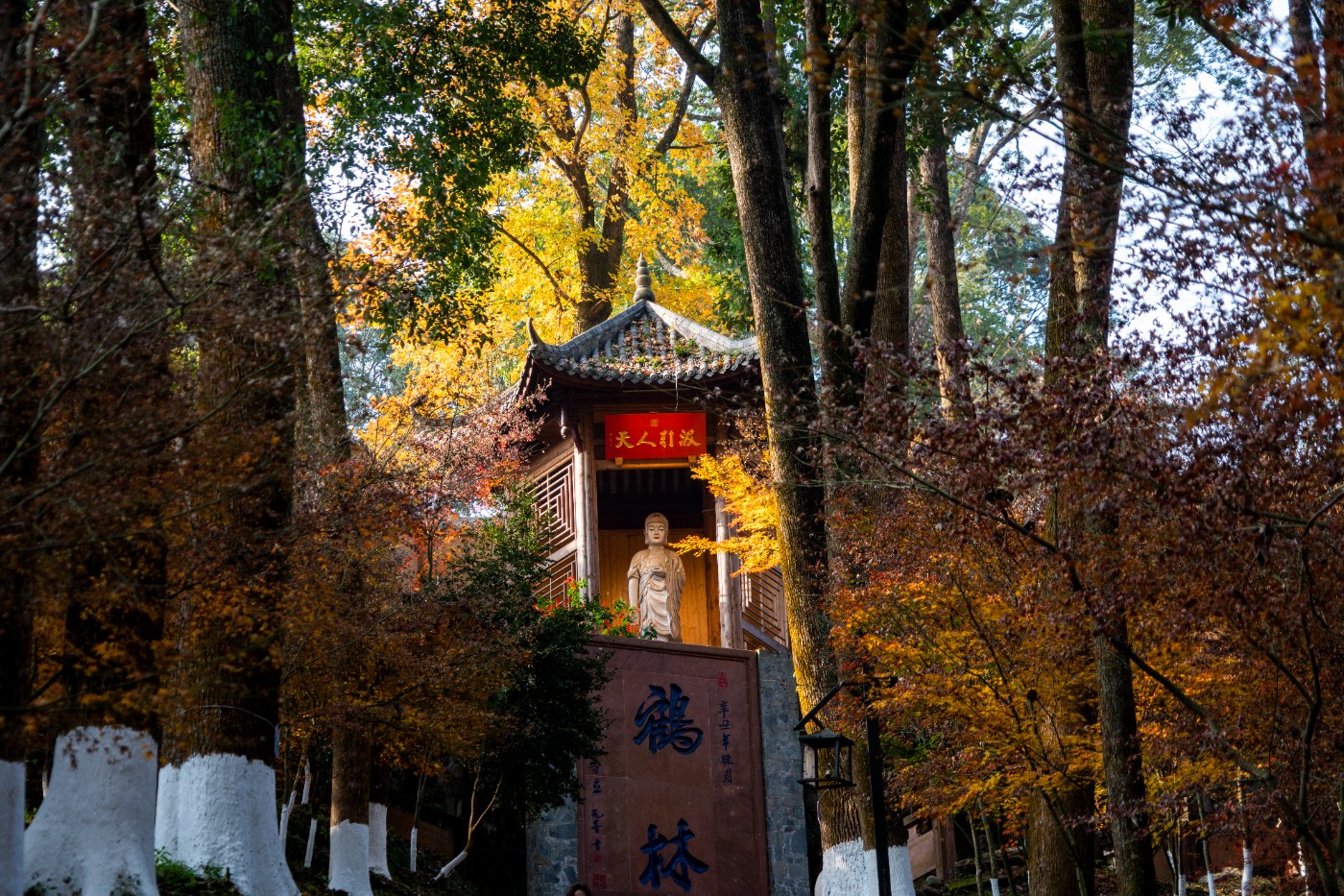 DSC08433 ����.jpg