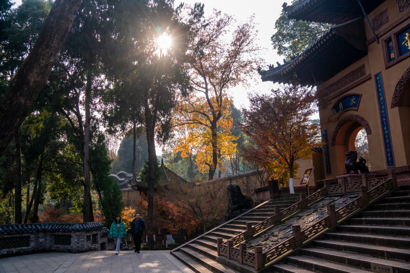 DSC08445 ����.jpg