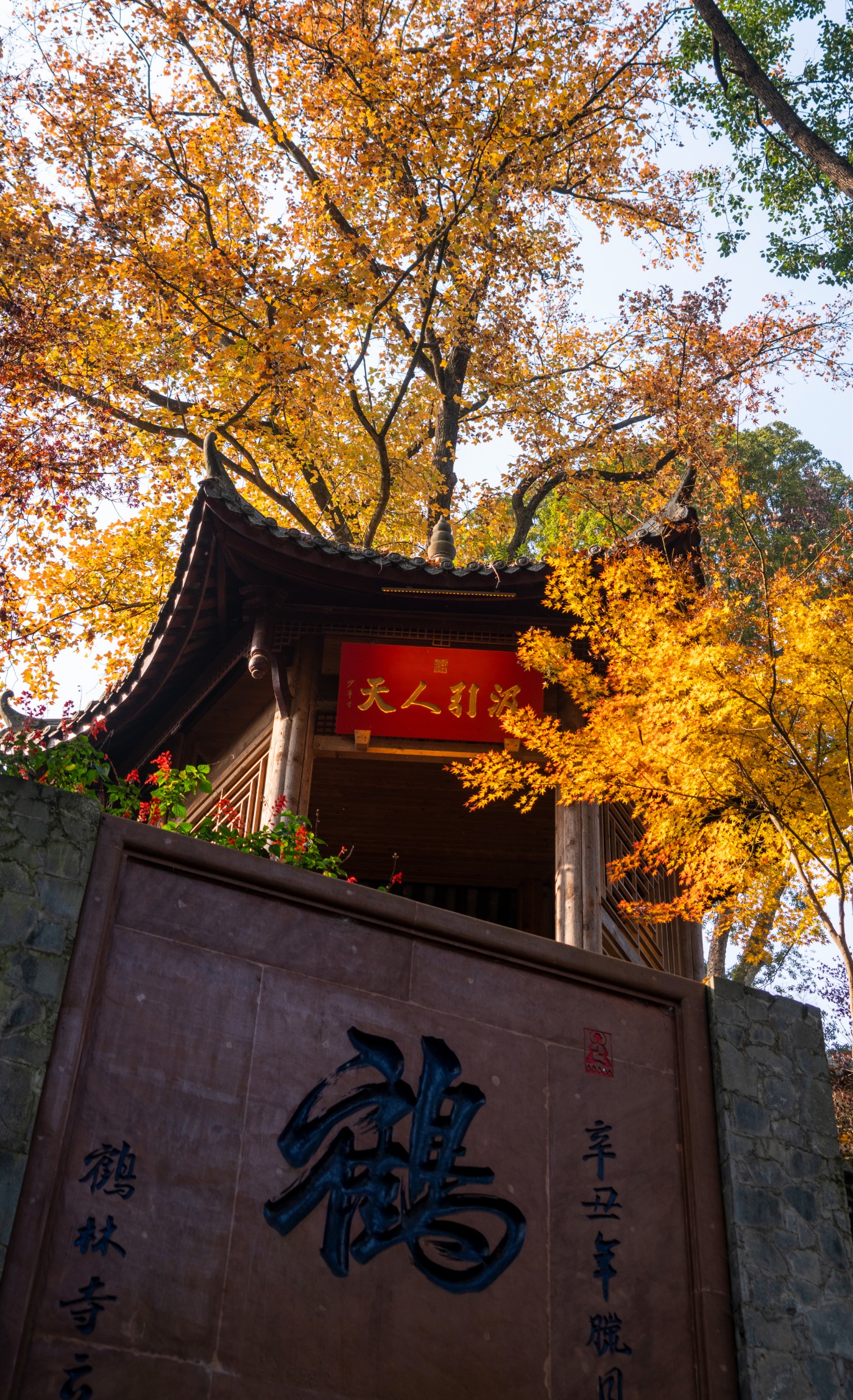 DSC08440 ����.jpg