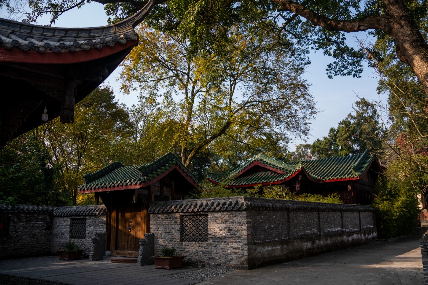 DSC08447 ����.jpg