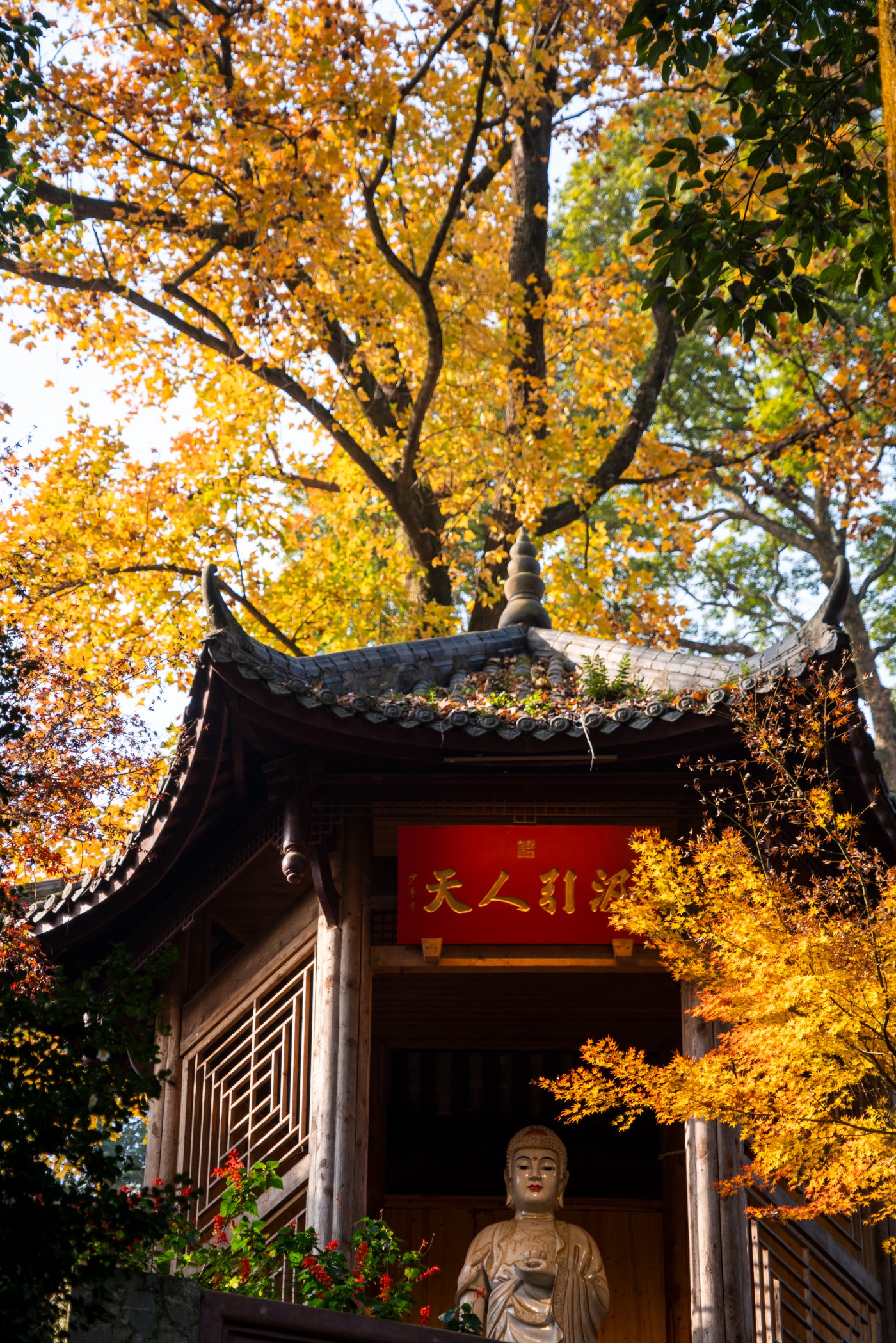 DSC08438 ����.jpg